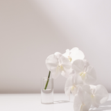 CYLINDER | Crystal Glass Holder Hire