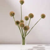 CYLINDER | Crystal Glass Holder Hire