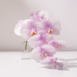 RECTANGLE | Crystal Glass Holder Hire