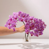 CUBE | Crystal Glass Votive Hire